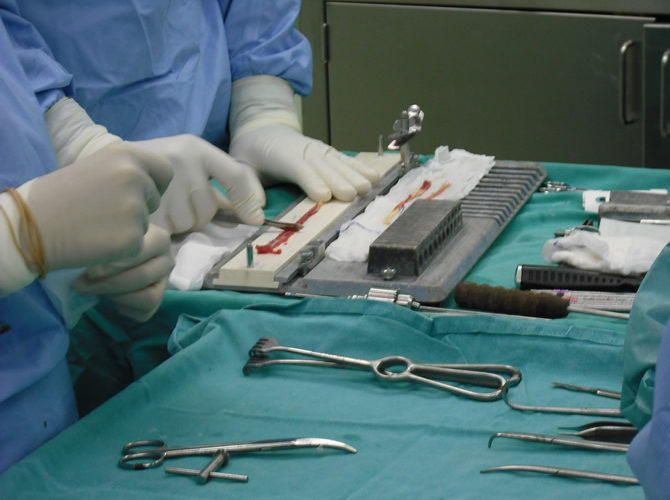 Παρασκευή του μοσχεύματος μετά τη λήψη β3